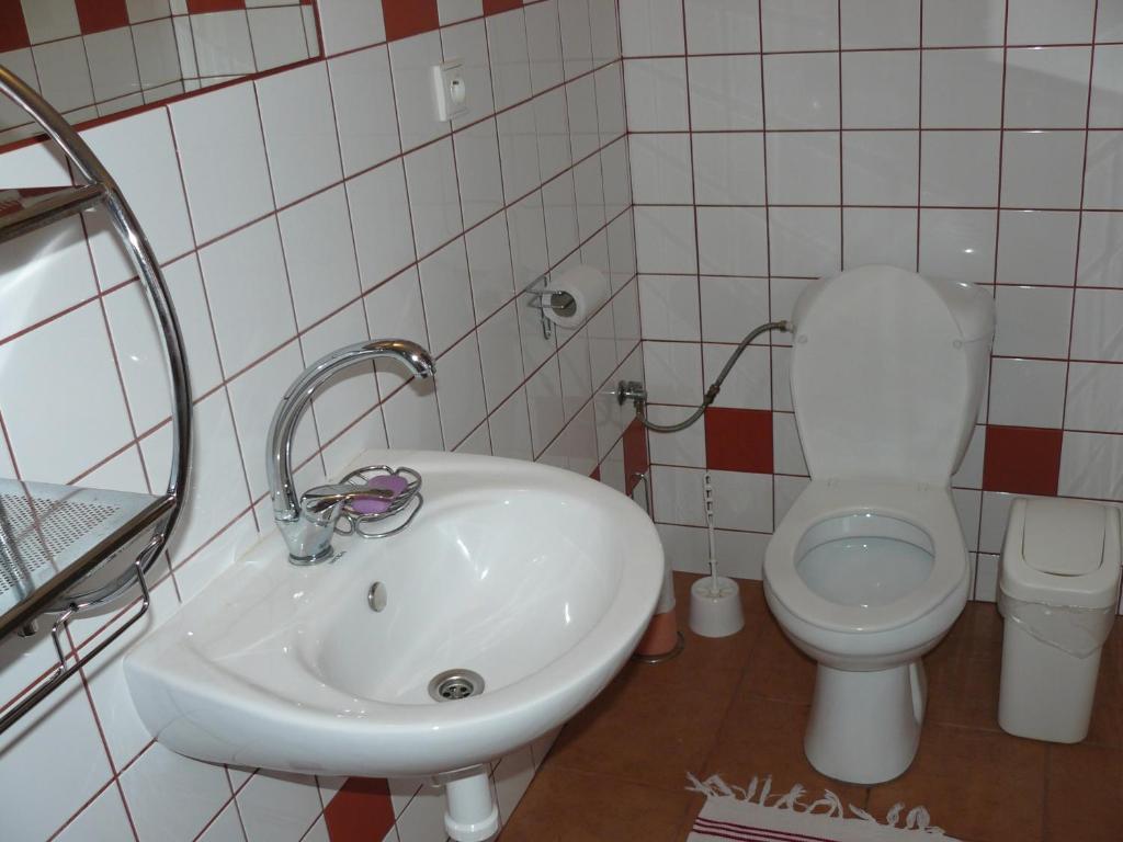Pension Helene S Mini Pivovarem Kytlice Room photo